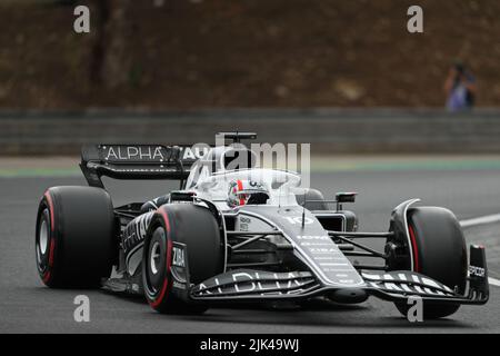 Mogyorod, Hongrie. 30th juillet 2022; The Hungaroring, Mogyoród, Hongrie: FIA Formule 1 Grand Prix, sessions de qualifications: Scuderia AlphaTauri, Pierre Gasly crédit: Action plus Sports Images/Alamy Live News Banque D'Images