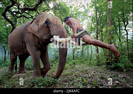 JAA,ÉLÉPHANT, LE PROTECTEUR, 2005 Banque D'Images