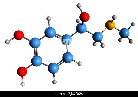 3D image de formule squelettique d'épinéphrine - structure chimique moléculaire de l'Adrenaline isolée sur fond blanc Banque D'Images