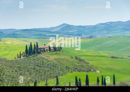 Ferme solitaire sur une colline dans les prés de Toscane, Italie Banque D'Images