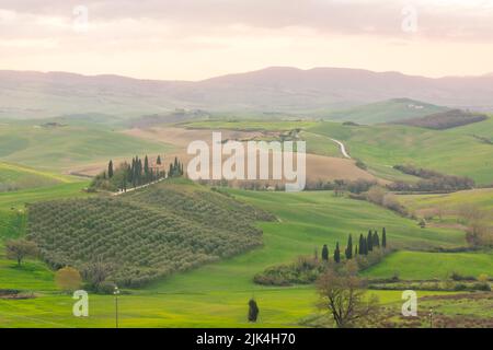 Ferme solitaire sur une colline dans les prés de Toscane, Italie Banque D'Images