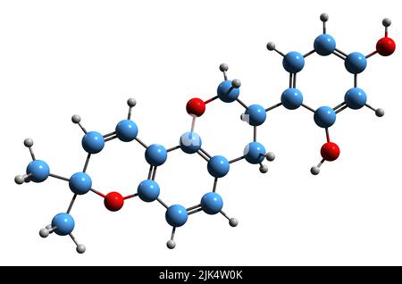 3D image de la formule squelettique de Glabridine - structure chimique moléculaire de l'isoflavane isolée sur fond blanc Banque D'Images
