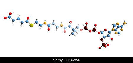 3D image de la formule squelettique Glutaryl-CoA - structure chimique moléculaire de la lysine et du métabolisme du tryptophane intermédiaire isolé sur le backgro blanc Banque D'Images