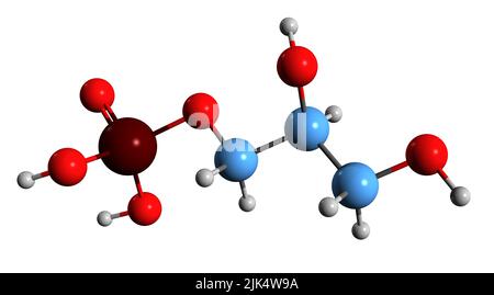 3D image de la formule squelettique Glycerol 3-phosphate - structure chimique moléculaire de Gro3P isolée sur fond blanc Banque D'Images