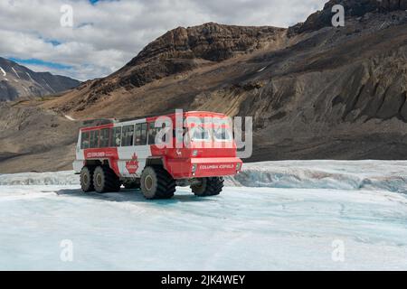 Véhicule de l'explorateur de glace sur le glacier Athabasca, à partir de la promenade de l'icefield, parc national Jasper, Alberta, Canada. Banque D'Images