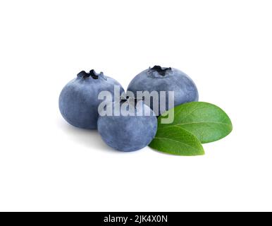 Myrtilles avec feuilles vertes isolées sur fond blanc. Gros plan myrtille. Banque D'Images