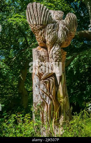 Sculpture de tronçonneuse en bois par Thomas Craggs d'un Kingfisher par la Rive Nidd dans la gorge de Knaresborough Banque D'Images