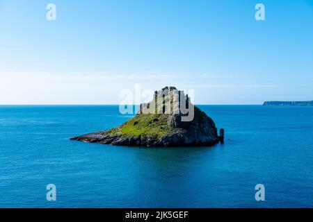 Thatcher Rock, Torquay, Devon, Angleterre Royaume-Uni Banque D'Images