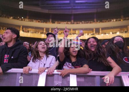 Sao Paulo, Brésil. 31st juillet 2022. SP - Sao Paulo - 07/30/2022 - SAO PAULO, CHARLIE BROWN JUNIOR 30 ANS - audience lors d'une performance du groupe Charlie Brown Jr., à VIBRA, au sud de Sao Paulo, ce samedi (30). Cette visite est une célébration du 30th anniversaire du groupe original de Santos, et présente ses membres fondateurs. Photo: Ettore Chiereguini/AGIF/Sipa USA crédit: SIPA USA/Alay Live News Banque D'Images