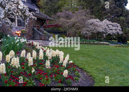 Jardins fleuris printaniers en pleine floraison dans le parc Stanley, Vancouver, Colombie-Britannique, Canada. Banque D'Images