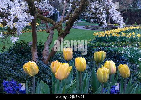 Jardins fleuris printaniers en pleine floraison dans le parc Stanley, Vancouver, Colombie-Britannique, Canada. Banque D'Images