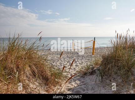 31 juillet 2022, Schleswig-Holstein, Schönberg : un filet de volley-ball se dresse seul sur la plage déserte du Brésil en début de matinée. Photo: Georg Wendt/dpa Banque D'Images