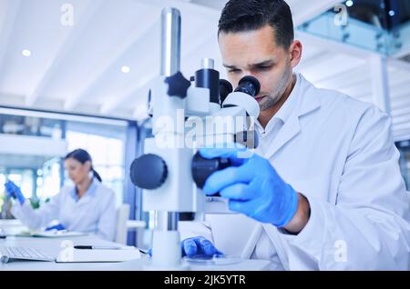 Par le microscope. Un jeune scientifique de sexe masculin beau travaillant avec un microscope dans son laboratoire avec un collègue en arrière-plan. Banque D'Images