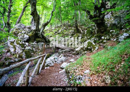 Zompo lo Schioppo, riserva nature (Morino, l''Aquila, Italie) Banque D'Images