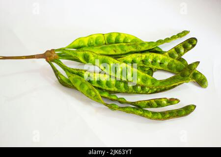 Petai, haricots en grappe torsadés, haricots stinks, haricots amers, graines de Parkia speciosa, isolé sur fond blanc Banque D'Images