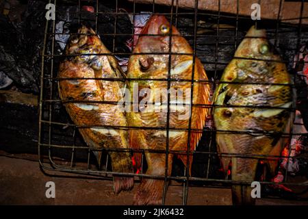 Poisson grillé Tilapia du Nil sur une grille au charbon de bois poisson grillé Tilapia du Nil sur une grille au charbon de bois Banque D'Images