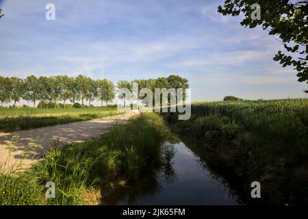 Champ à côté d'un ruisseau d'eau et d'un sentier de terre au coucher du soleil dans la campagne italienne Banque D'Images