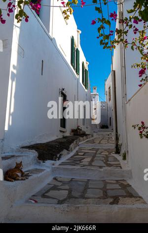 Village de Pyrgos (Panormos) sur l'île de Tinos, Grèce Banque D'Images