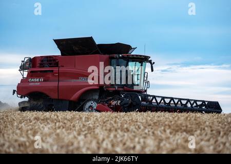 Case 7250 moissonneuse-batteuse Bawdsey Suffolk Royaume-Uni Banque D'Images