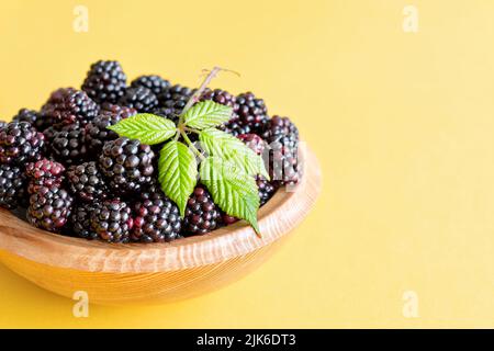 Un bol en bois de mûres sauvages fraîchement cueillies, Rubus fruticosus. Une feuille de mûre a été présentée au-dessus des fruits de campagne noirs juteux Banque D'Images