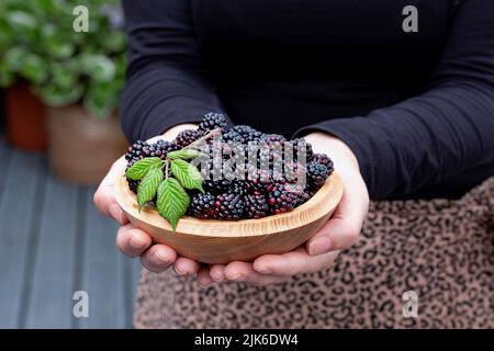 Une femme tenant un bol de mûres sauvages, Rubus fruticosus. Les jus de fruits ont été fraîchement cueillis dans les broussailles de la campagne Banque D'Images