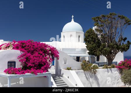 Pittoresque église blanchie à la chaux, hébergement de vacances avec bougainvilliers à fleurs, Aghios Artemios maisons traditionnelles, Santorin, Grèce, UE Banque D'Images