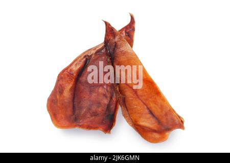 Studio shot d'oreilles de cochons, couramment utilisé comme un chien de traite, découpé sur un fond blanc - John Gollop Banque D'Images