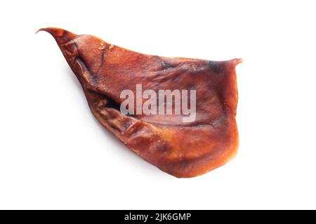 Prise de vue en studio d'oreilles de cochons, couramment utilisée comme traitement de chien, coupée sur fond blanc - John Gollop Banque D'Images