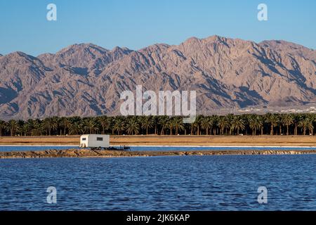 Eilat ville montagnes à la lumière du jour avec des palmiers Banque D'Images