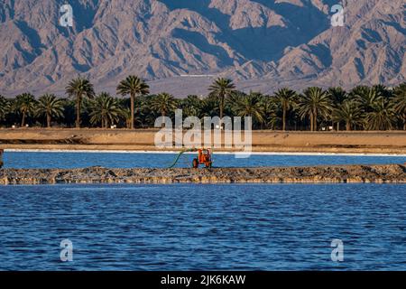 Eilat ville montagnes à la lumière du jour avec des palmiers Banque D'Images