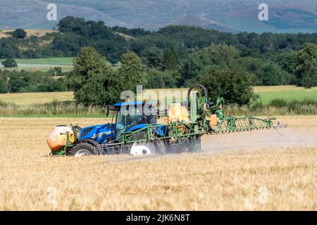 Pulvérisation d'un champ d'orge presque mûr avec un weedkiller à base de glyphosate pour se débarrasser de l'excès de verdure qui pourrait obstruer la moissonneuse-batteuse lors de la récolte Banque D'Images