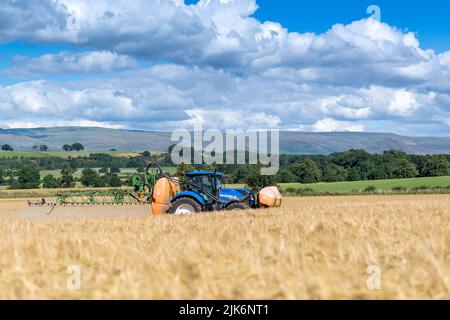 Pulvérisation d'un champ d'orge presque mûr avec un weedkiller à base de glyphosate pour se débarrasser de l'excès de verdure qui pourrait obstruer la moissonneuse-batteuse lors de la récolte Banque D'Images