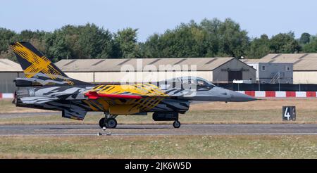 BAF Solo Display, FA-136 le X Tiger Livery, XTM 70 ans 31 Squadron et 80 ans OTAN Tiger Association Banque D'Images