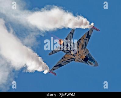 BAF Solo Display, FA-136 le X Tiger Livery, XTM 70 ans 31 Squadron et 80 ans OTAN Tiger Association Banque D'Images