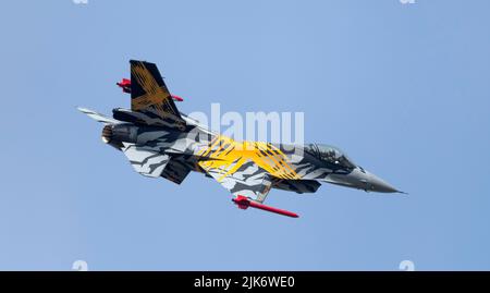 BAF Solo Display, FA-136 le X Tiger Livery, XTM 70 ans 31 Squadron et 80 ans OTAN Tiger Association Banque D'Images