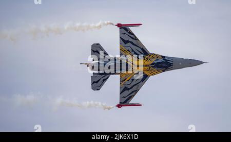 BAF Solo Display, FA-136 le X Tiger Livery, XTM 70 ans 31 Squadron et 80 ans OTAN Tiger Association Banque D'Images