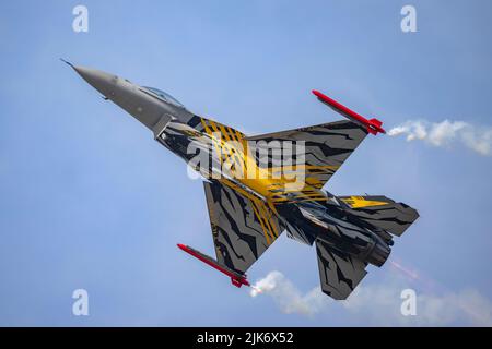 BAF Solo Display, FA-136 le X Tiger Livery, XTM 70 ans 31 Squadron et 80 ans OTAN Tiger Association Banque D'Images