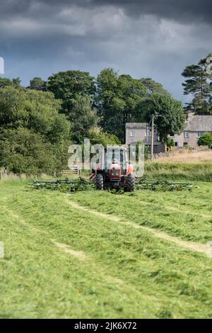 Épandage d'herbe récemment tondue dans un champ d'ensilage d'une ferme laitière, Cumbria, Royaume-Uni. Banque D'Images