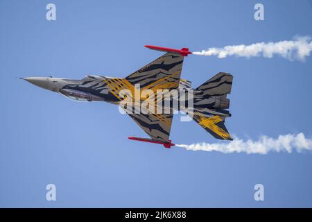BAF Solo Display, FA-136 le X Tiger Livery, XTM 70 ans 31 Squadron et 80 ans OTAN Tiger Association Banque D'Images