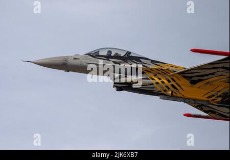 BAF Solo Display, FA-136 le X Tiger Livery, XTM 70 ans 31 Squadron et 80 ans OTAN Tiger Association Banque D'Images
