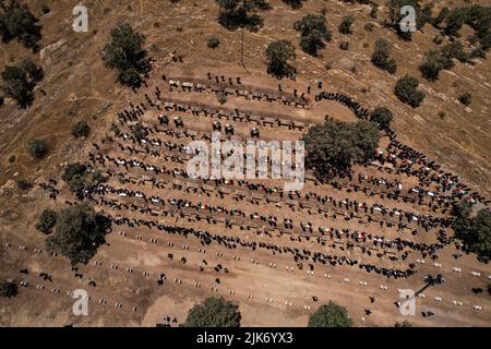 Barzan, Irak. 31st juillet 2022. Les hommes kurdes portent des coffres contenant les restes de 100 victimes Barzani, qui ont été tuées dans les opérations d'Anfal à la fin de 1980s, pour être enterrées au cimetière d'Anfal à Barzan. Le régime de l'Irak baathiste, dirigé par Saddam Hussein, a mené des opérations violentes contre les Kurdes à la fin de 1980s, laissant au moins 182 000 morts et 90% des villages kurdes détruits. Credit: Ismael Adnan/dpa/Alay Live News Banque D'Images