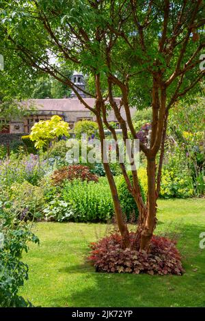 Plantation d'été dans les jardins de Thornbridge Hall près de Bakewell, Peak District, Derbyshire, Angleterre. Banque D'Images