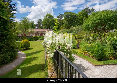 Plantation d'été dans les jardins de Thornbridge Hall près de Bakewell, Peak District, Derbyshire, Angleterre. Banque D'Images