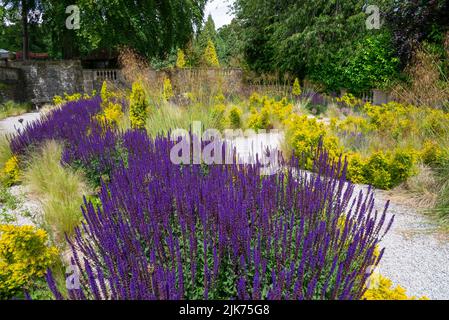 Jardin de gravier sec dans les jardins de Thornbridge Hall près de Bakewell, Peak District, Derbyshire, Angleterre. Banque D'Images