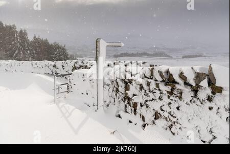 Murs de Drystone et panneaux de sentier couverts de neige dérivante, Wensleydale, North Yorkshire, Royaume-Uni. Banque D'Images