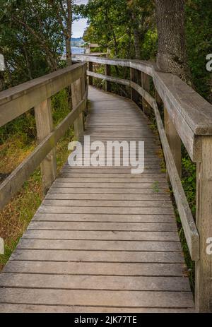 Sentier écologique en bois dans le parc de la Colombie-Britannique, île de Vancouver. Sentier écologique chemin sentiers allées posés dans la forêt. Photo de voyage, personne, Banque D'Images