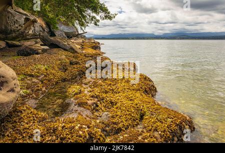 Rocky seashore dans le parc national Pacific Rim, île de Vancouver Colombie-Britannique, Canada. Magnifique paysage de bord de mer à Jack point et Biggs Park Banque D'Images