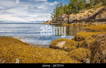 Rocky seashore dans le parc national Pacific Rim, île de Vancouver Colombie-Britannique, Canada. Magnifique paysage de bord de mer à Jack point et Biggs Park Banque D'Images