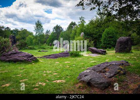 Champ de Menhirs près de Monteneuf en Bretagne, France Banque D'Images