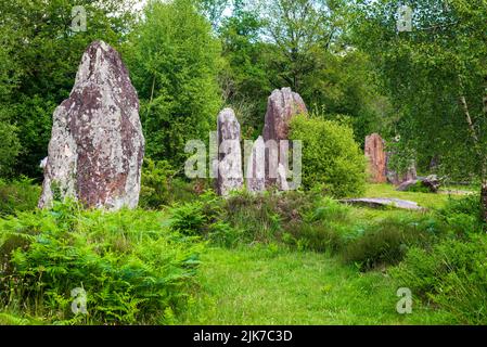 Menhirs perdus dans la forêt près de Monteneuf en Bretagne, France Banque D'Images